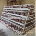 Chine design couche oeuf cage de poulet / volaille ferme maison design